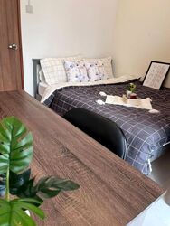 La Brisa (D14), Apartment #480119521